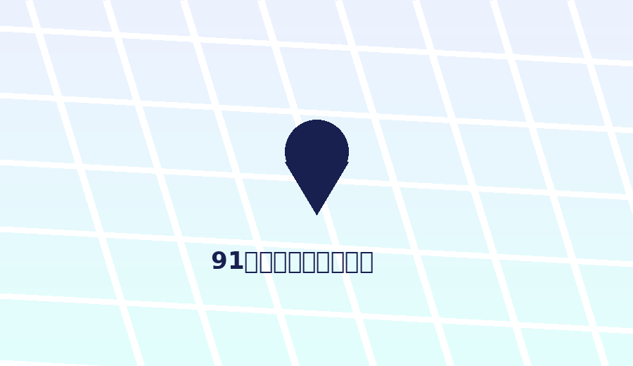 91网交互地图占位